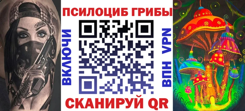 закладка  Хадыженск  Галлюциногенные грибы MAGIC MUSHROOMS 